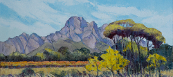 Groot Drakenstein, Boschendal | 2018 | Oil on Canvas | 40 x 60 cm